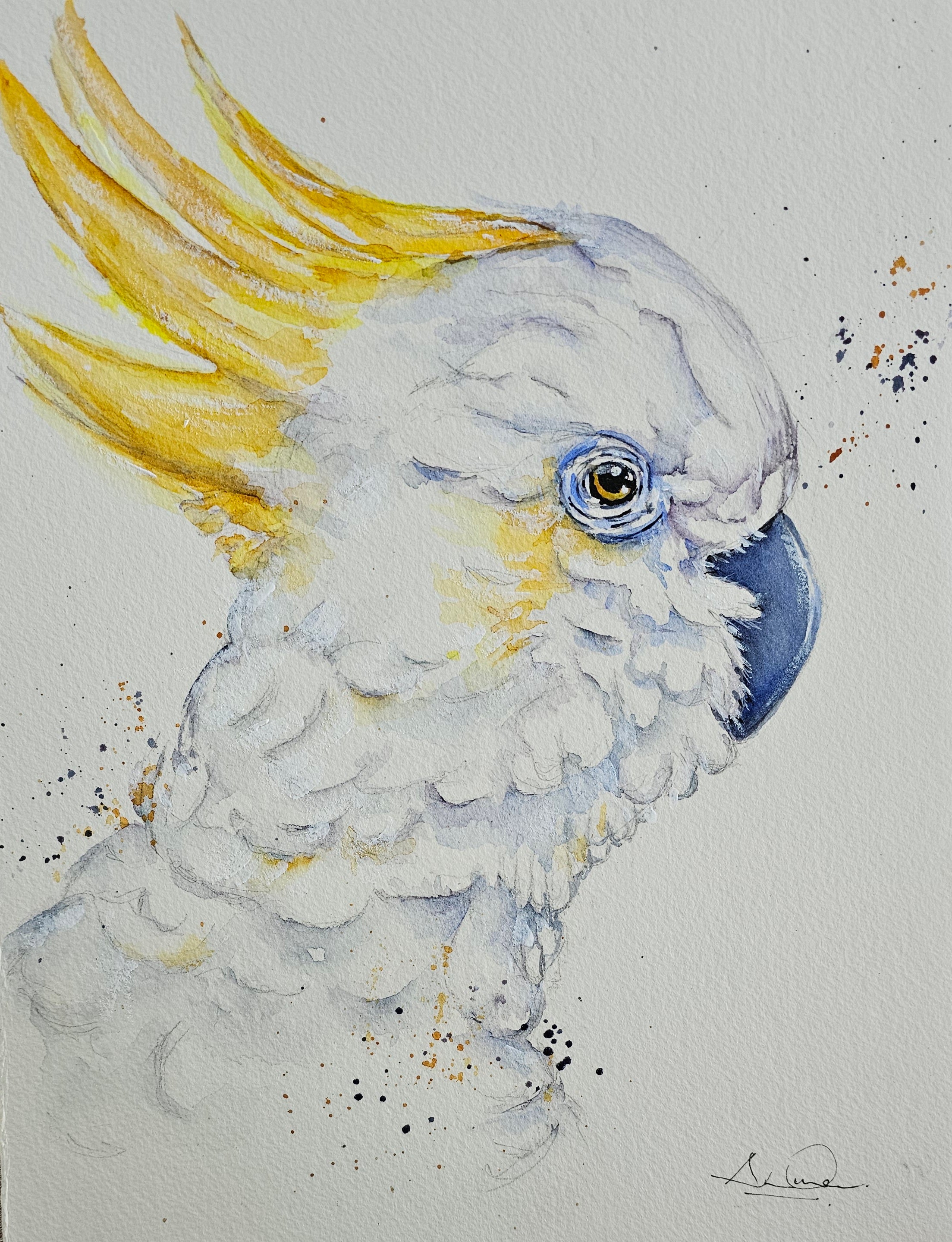 Charlie the Cockatoo