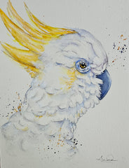 Charlie the Cockatoo