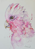 Pretty in Pink