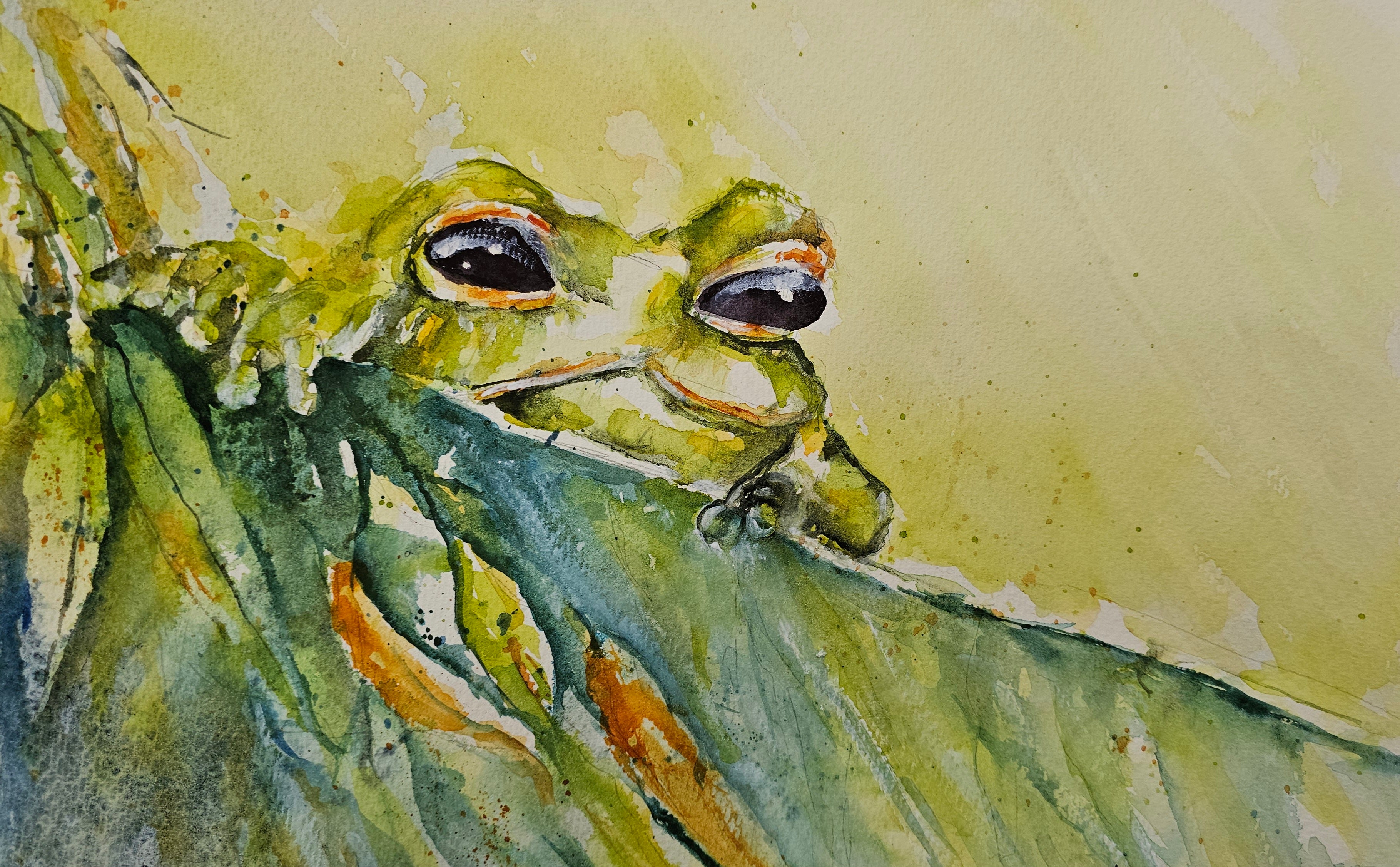 Little Green Tree Frog