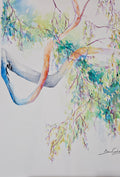 Low Hanging Branches