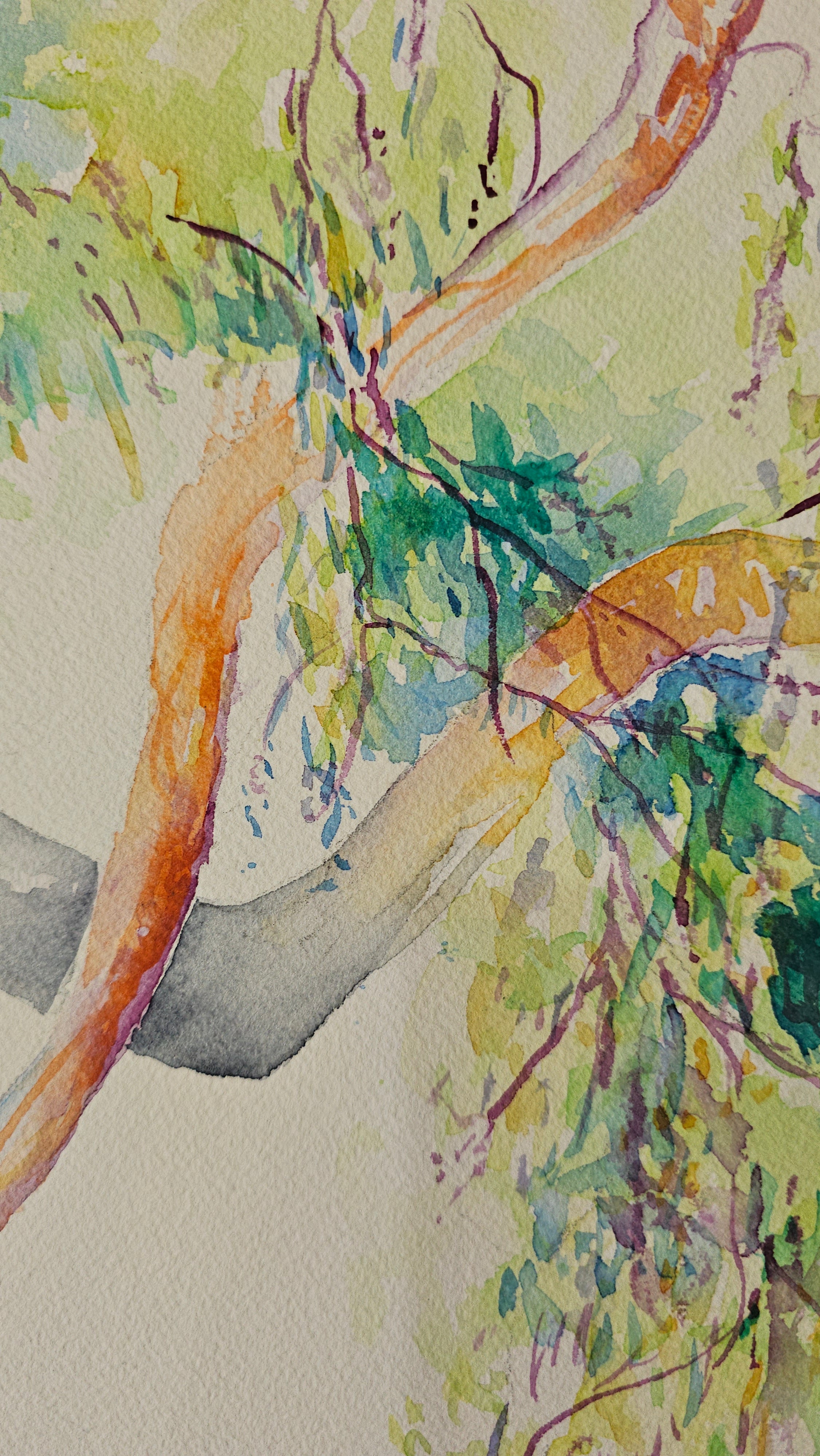 Low Hanging Branches