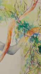 Low Hanging Branches