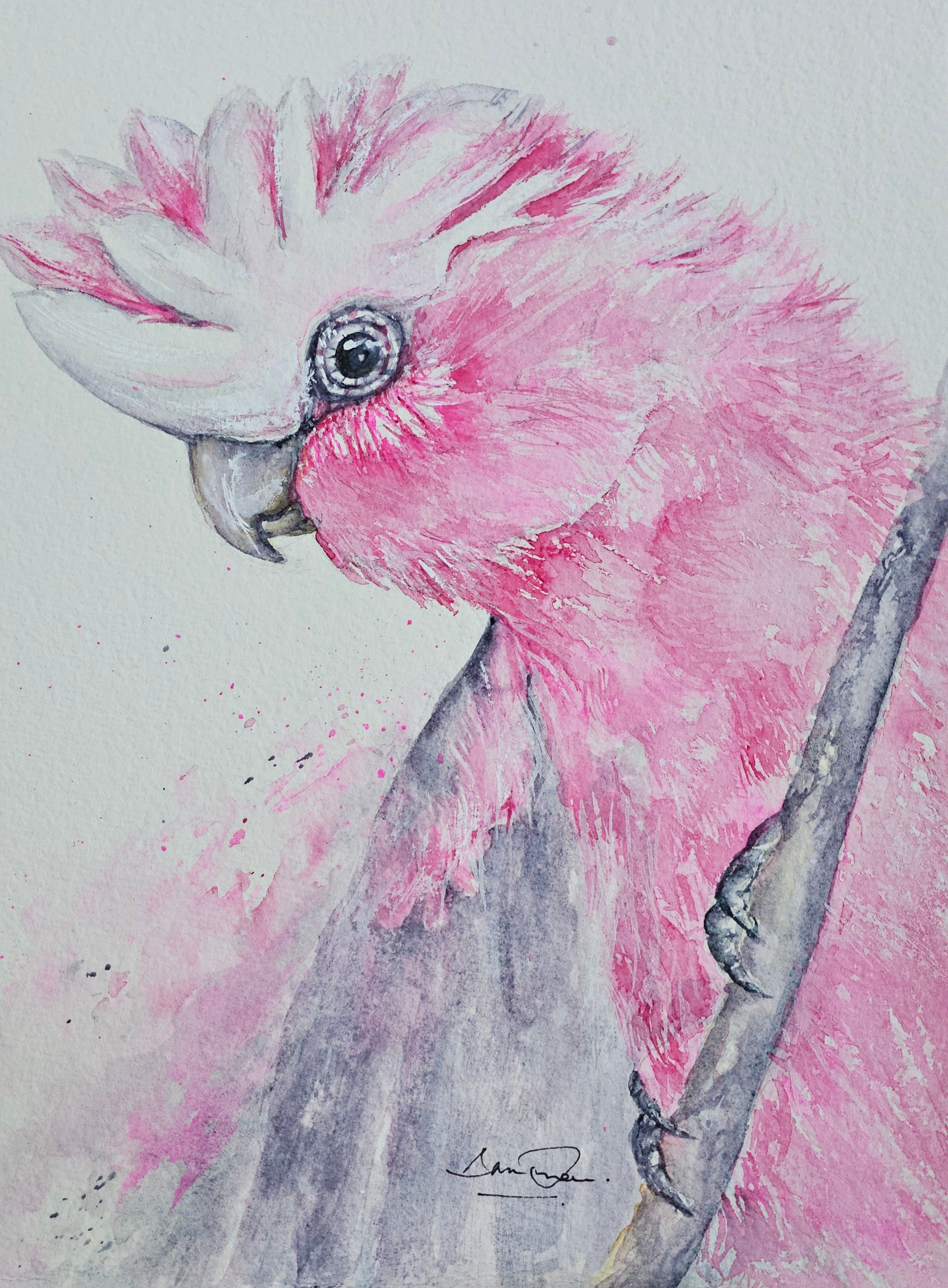 Pretty in Pink