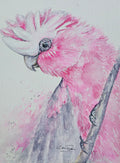Pretty in Pink