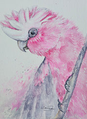 Pretty in Pink